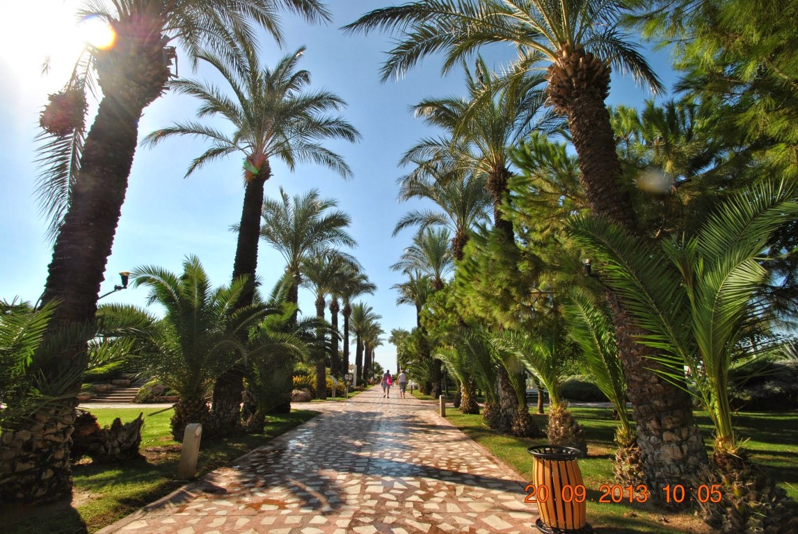 imagini hotel TITANIC LARA